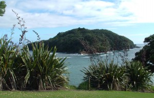 Goat_island_NZ