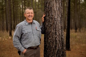 Wallace Wood, a tree farmer who uses sustainable practices to harvest his trees